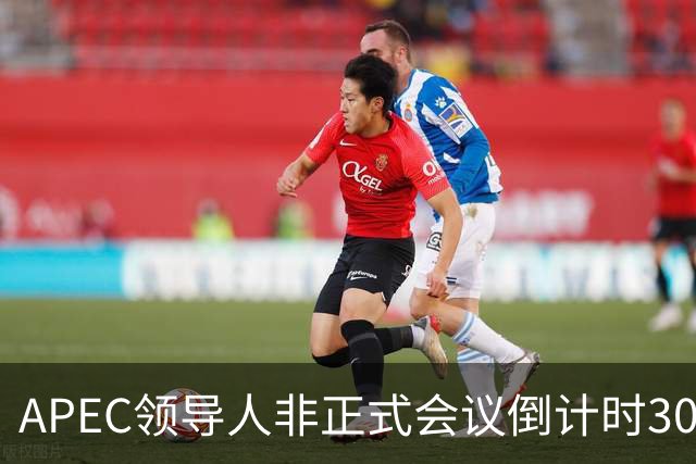APEC领导人非正式会议倒计时30天，多国前政要和学者表达期待：APEC为不确定性上升的世界拓展合作路径